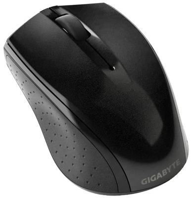 101210_gigabyte.jpg