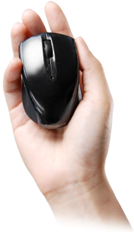 101210_gigabyte_1.jpg