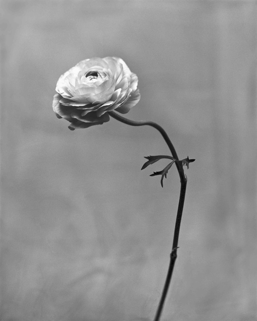 110225_epson_2.jpg
