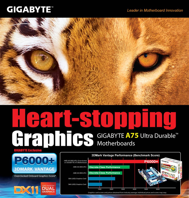 110628_gigabyte.jpg