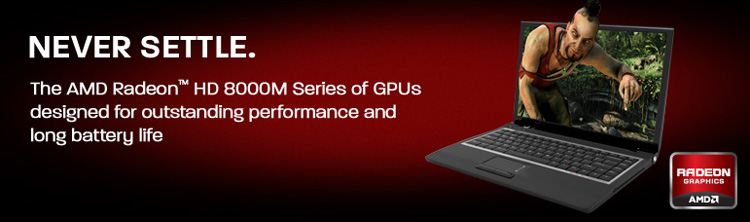 130109_amd.jpg