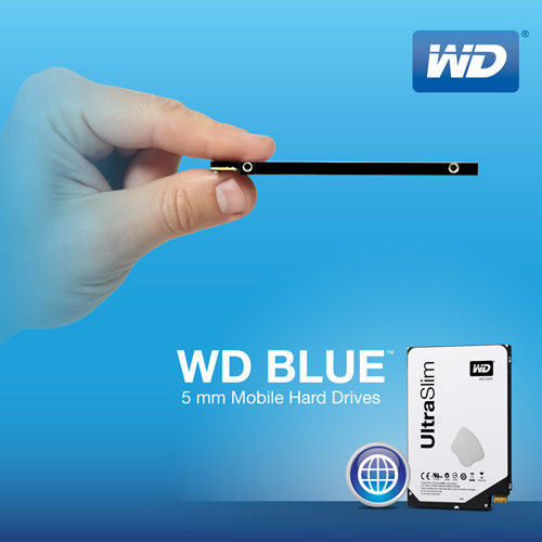 130508_wd.jpg