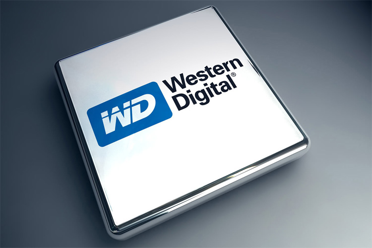 151024_wd.jpg