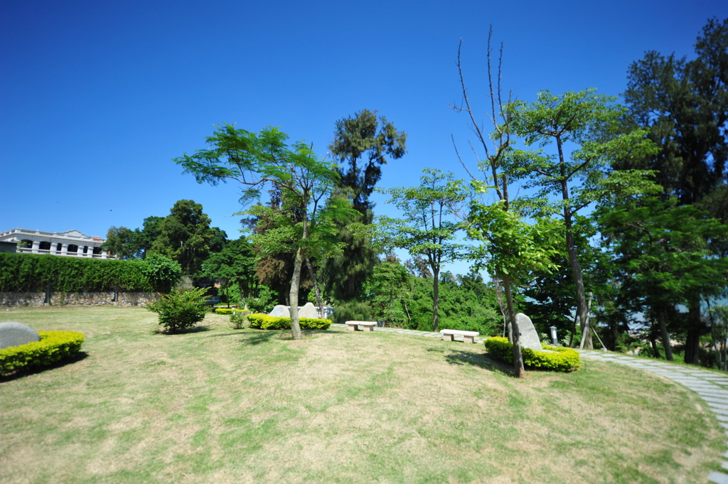 174.JPG