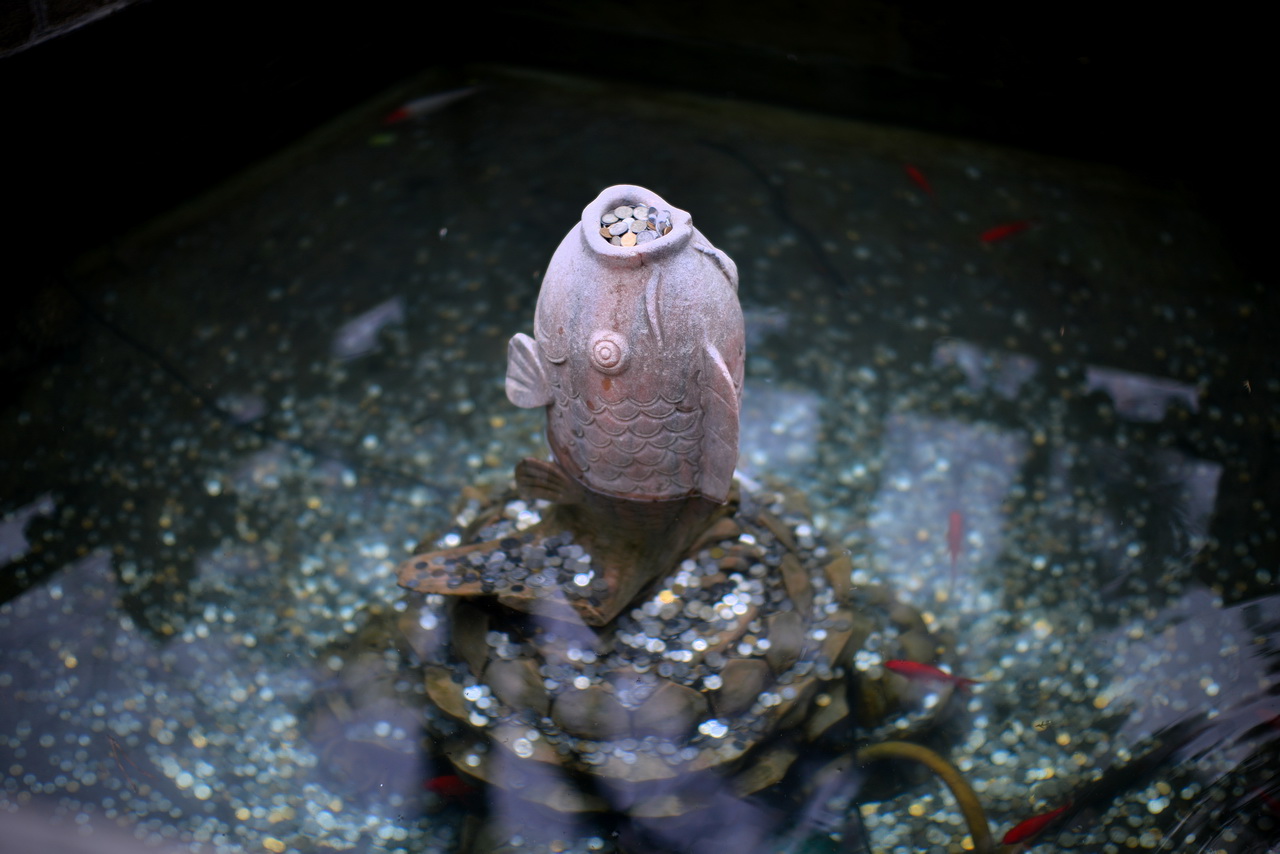 106.JPG