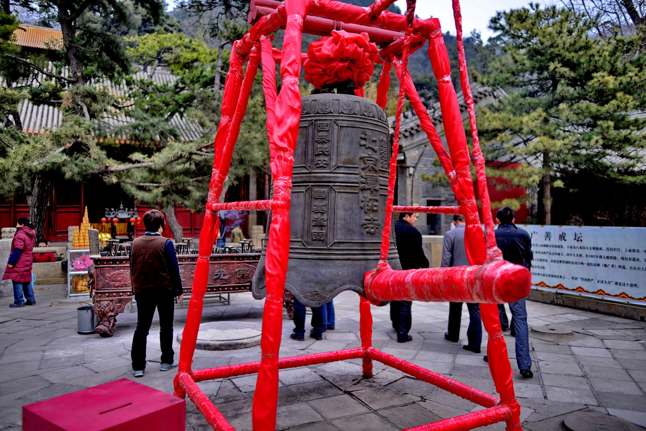 116.JPG