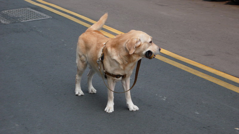 4.JPG