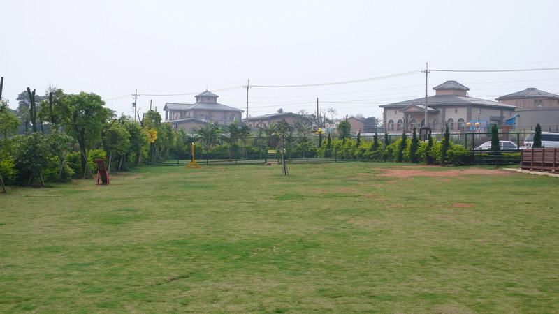 6.JPG