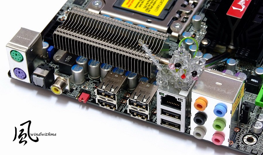 DJRX5810.jpg