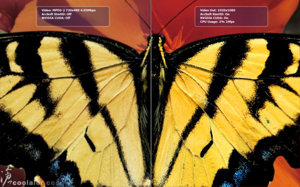 news_nvidia_arcsoft_Butterfly.jpg