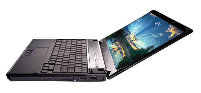 Fujitsu_LifeBook_p8110_1.jpg