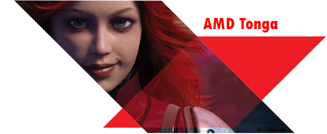 AMD-Tonga-GPU2.jpg