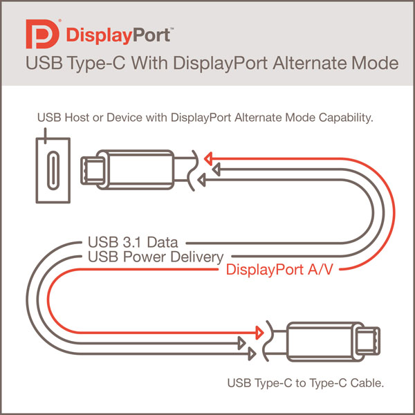 DisplayPortAltMode_1.jpg