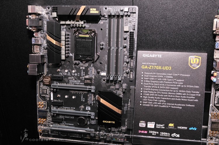 gigbyate_100s_mb_12.jpg