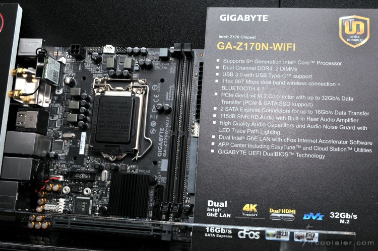 gigbyate_100s_mb_5.jpg