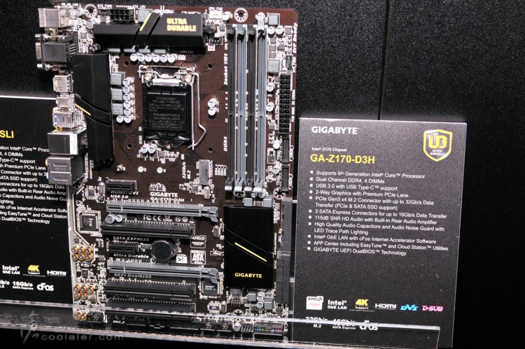 gigbyate_100s_mb_8.jpg
