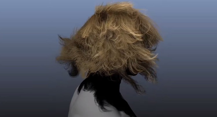 nvidia_hairworks_1.1_2.jpg