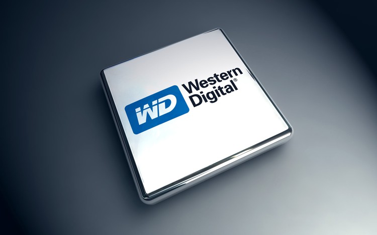 wd_logo_1.jpg