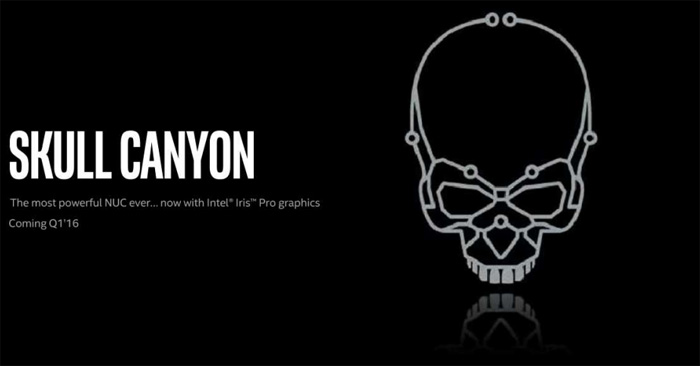 skull_canyou_1.jpg