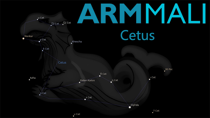 ARM_Mali-Cetus_1.jpg