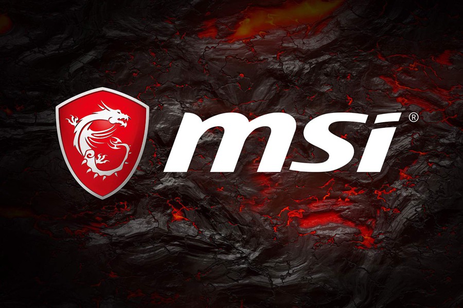 msi_logo.jpg