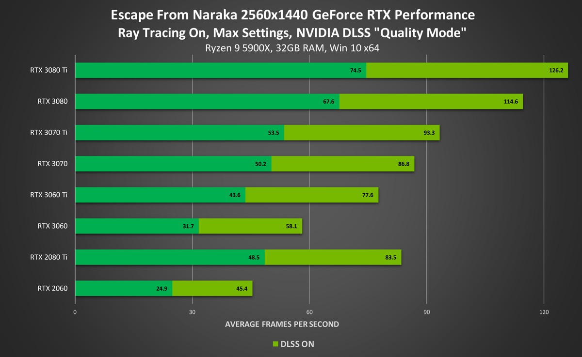 nvidia_07293.jpg