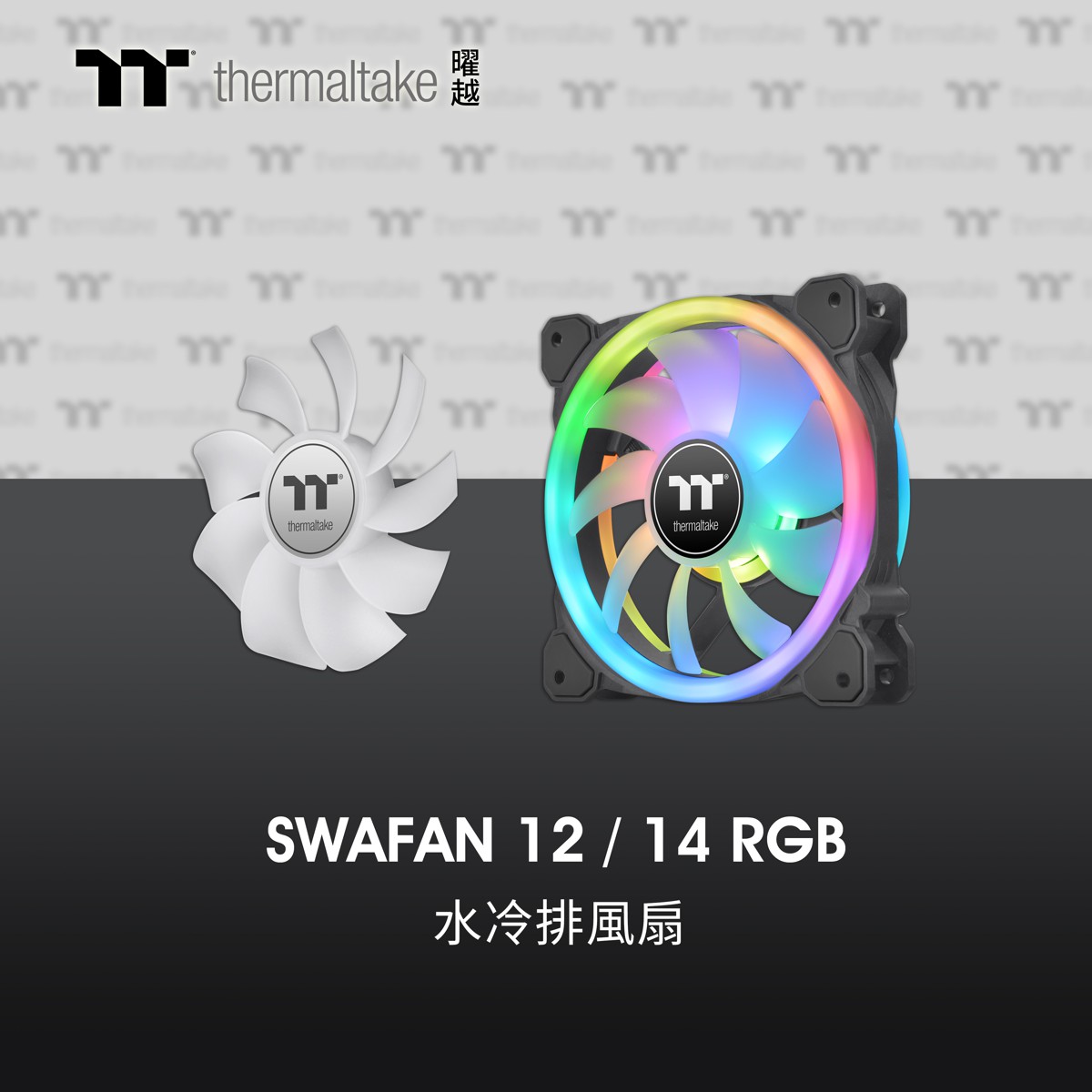 tt_SWAFAN_12_14_RGB.jpg