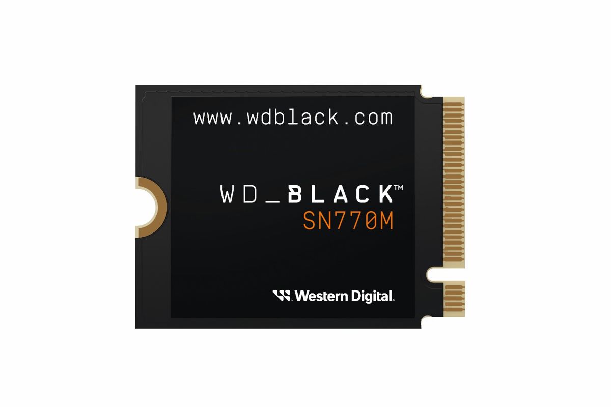 wd_sn770m_1.jpg