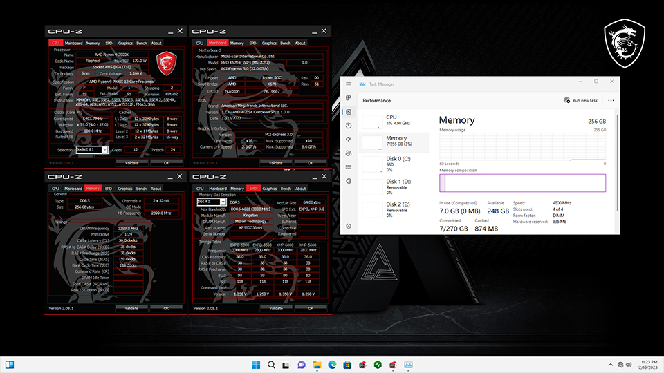 msi_d5_256gb_1.jpg