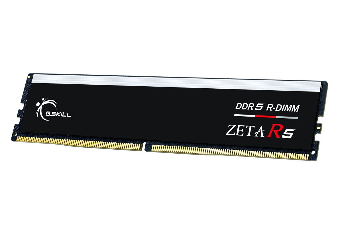 gskill_r-dimm_zeta_r5_1.jpg