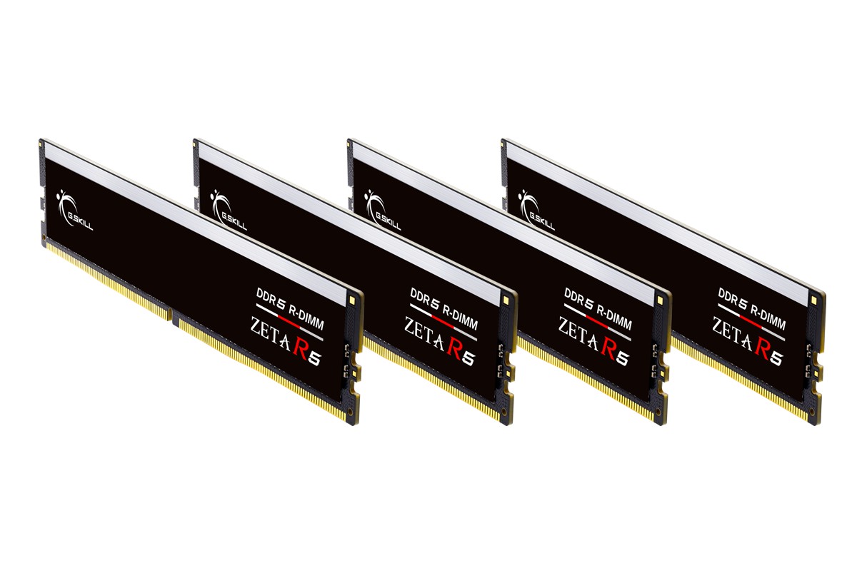 gskill_r-dimm_zeta_r5_2.jpg