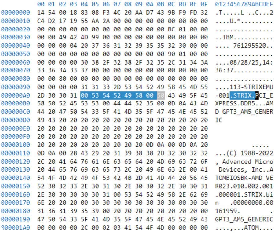 amd_strix_point_am5_1.jpg