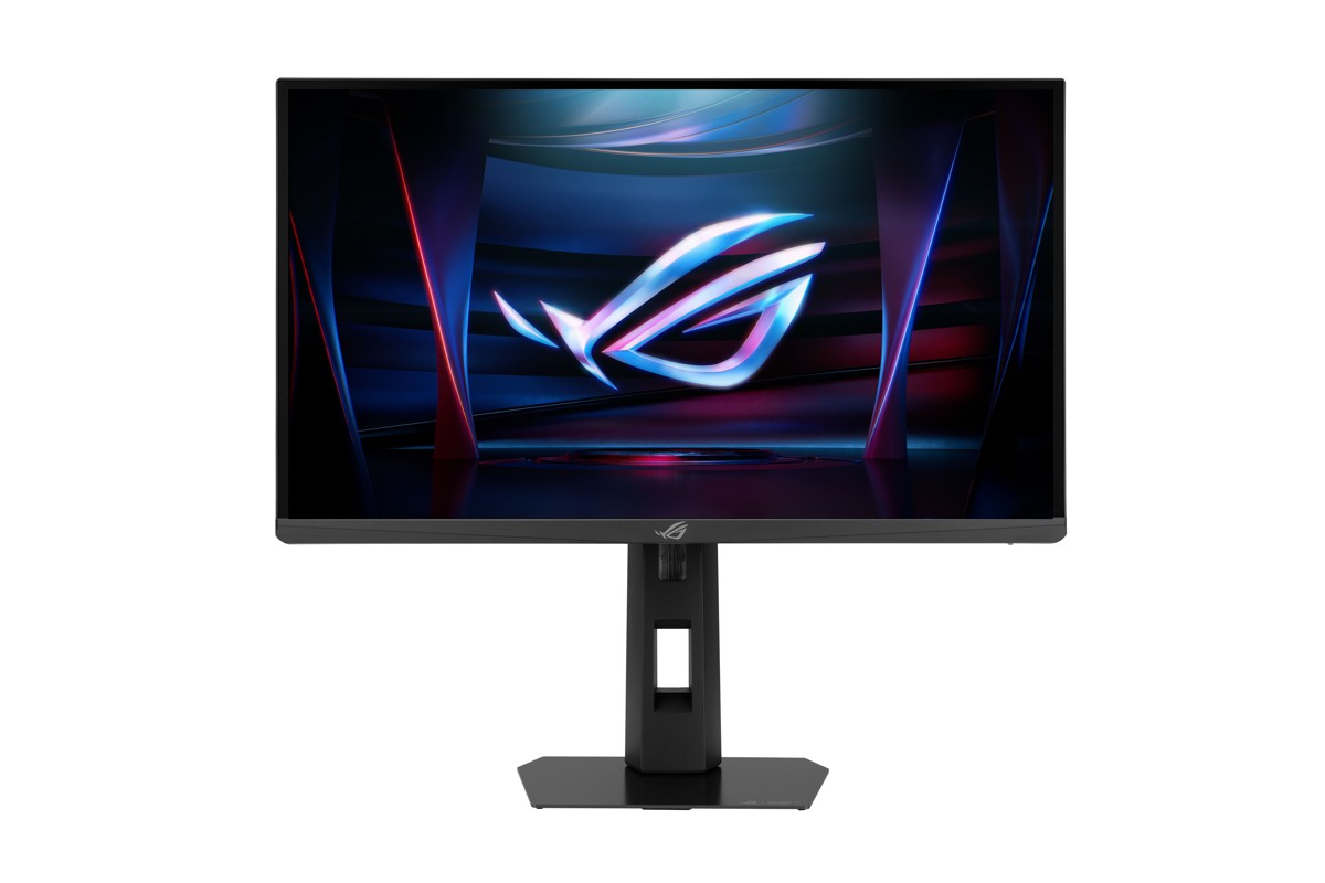 rog08263.jpg
