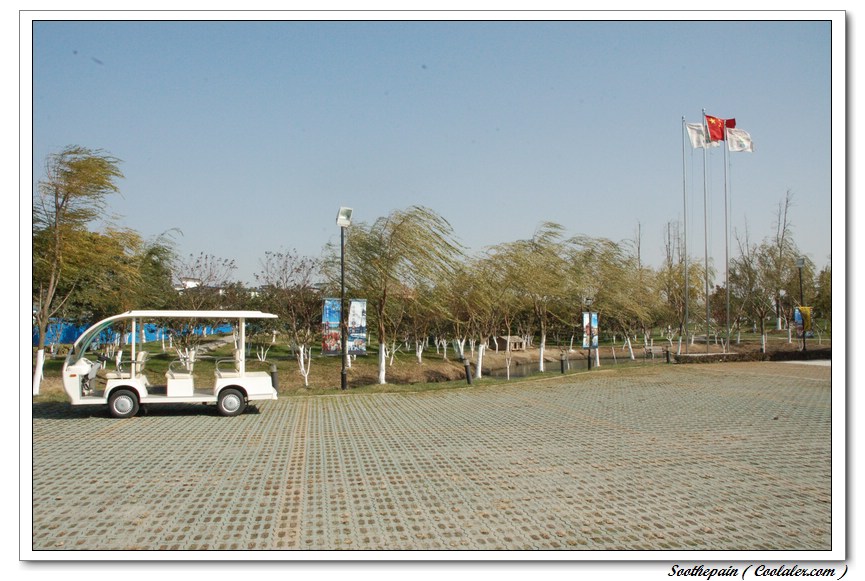 3720.jpg
