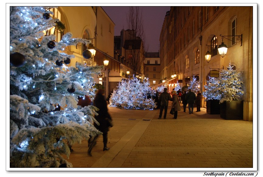 nEO_IMG_DSC_4713.jpg