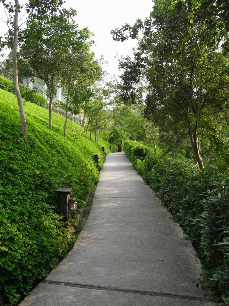 05.jpg
