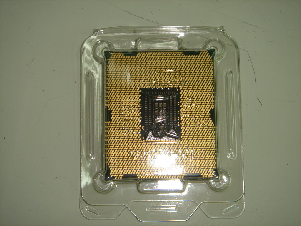 X7905.JPG