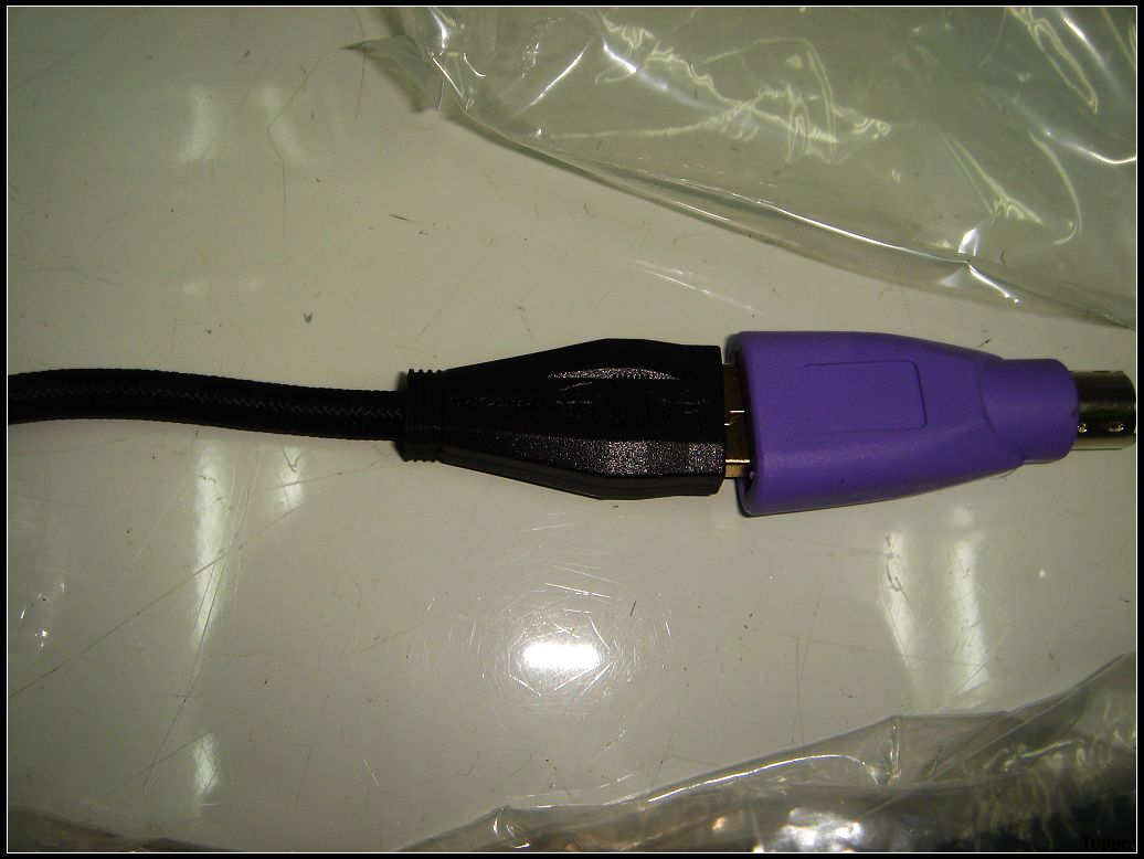08.JPG