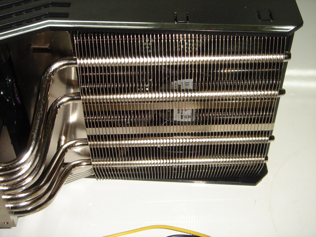 V1006.JPG